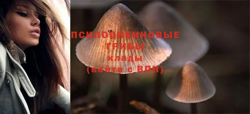 маркетплейс телеграм  mega ссылка  Алупка  Галлюциногенные грибы Magic Shrooms 